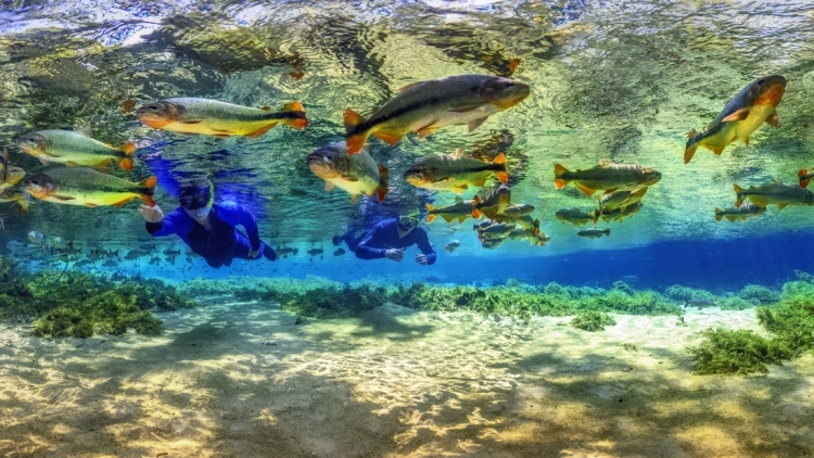 Recanto Ecol&oacute;gico Rio da Prata